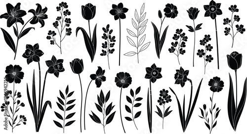 Black floral silhouettes collection featuring elegant spring garden flowers lily tulip daffodil and botanical leaves elements isolated on white background for minimalist vector nature design