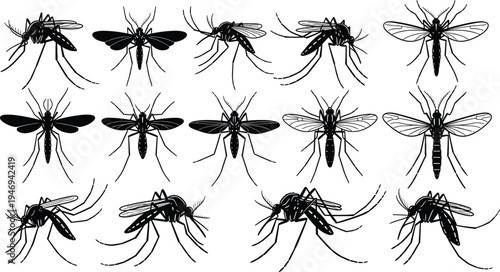 Black Mosquito Silhouette Collection Featuring Various Pests in Different Flying and Landing Poses for Medical Awareness Malaria Prevention Education and Insect Control Graphic Design
