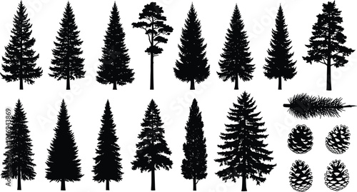 Black Silhouette Vector Set of Diverse Coniferous Pine and Fir Trees Plus Individual Pine Cones and Branch Isolated on White Background for Winter Design