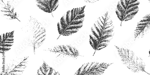 Vector black leaf veins on a white background.