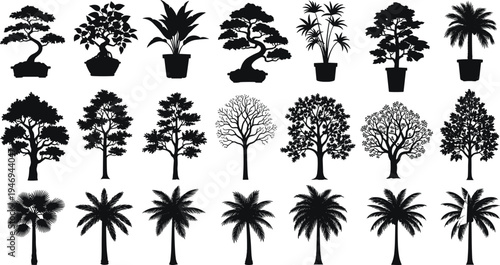 Black Silhouette Vector Set of Diverse Trees and Potted Plants Including Palm Trees Bonsai and Deciduous Garden Species Isolated on White Background for Design