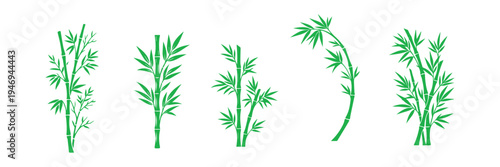 Bamboo Branch and Leaf Vector Collection.