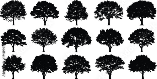 Black tree silhouette set featuring diverse deciduous trees, isolated on white background, natural forest shapes for landscape design, icons, illustrations, and branding