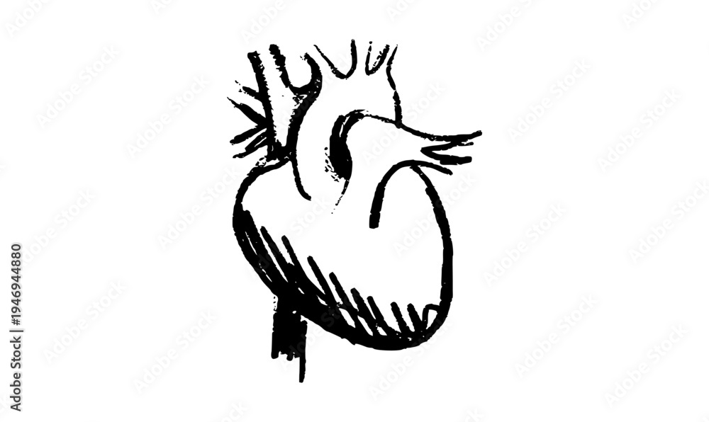 Fototapeta premium Human heart icon
