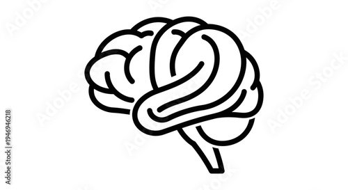 Outline Icon of Human Brain on Isolated White Background, Symbol of Intelligence and Thought