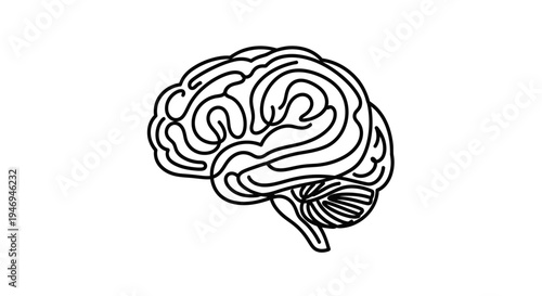 Simple black and white line art illustration of a human brain, showing the cerebrum and cerebellum in a clear anatomical outline.