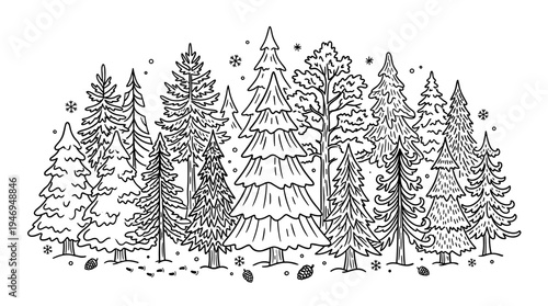 A set of firs, pines, and spruces illustrated with contour outlines, depicting a cluster of winter coniferous Christmas trees against a white backdrop in a monochrome doodle style
