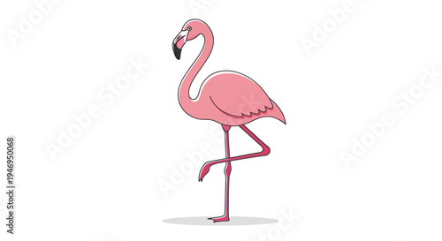 Elegant pink flamingo illustration standing on one leg.