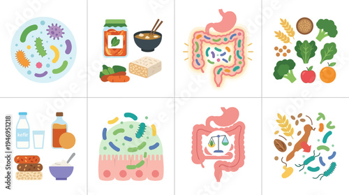 Gut Health and Microbiome Illustration Collection