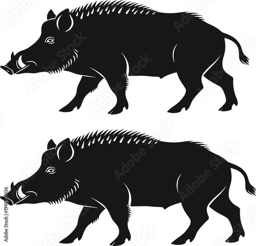 Detailed Wild Boar Silhouette with Tusks, Majestic Feral Pig Standing Vector Illustration, Forest Wildlife Graphic for Hunting Logo and Nature Branding
