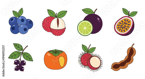 Colorful tropical fruits illustration