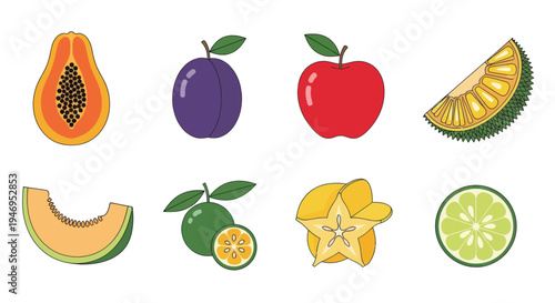 Colorful vector fruits isolated on white