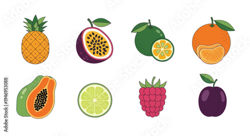 Colorful vector illustration of various fruits
