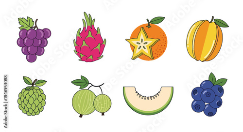 Colorful vector illustrations of various fruits