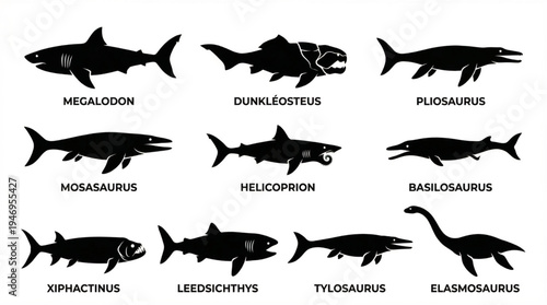 Illustrative silhouettes showcasing a diverse array of powerful ancient marine predators and prehistoric ocean creatures that once dominated Earth's aquatic ecosystems