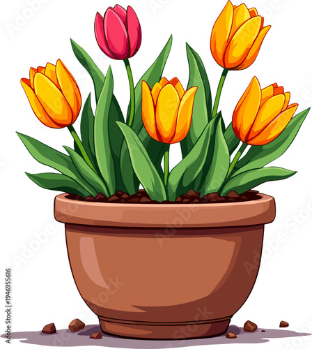 Beautiful tulip flowers growing in ceramic flower pot, colorful spring potted plant illustration perfect for home decor designs, botanical artwork and seasonal floral projects