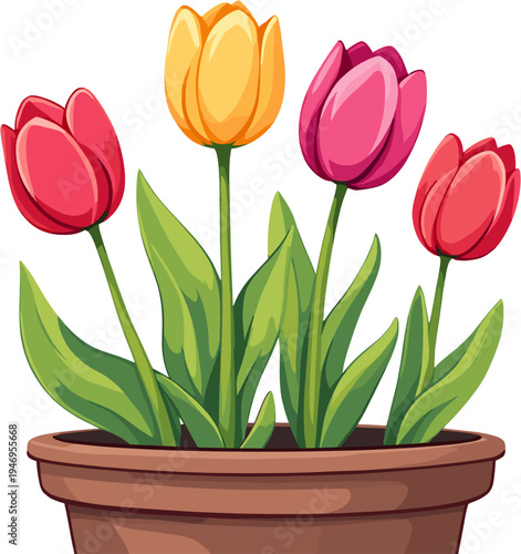 Beautiful tulip flowers growing in ceramic flower pot, colorful spring potted plant illustration perfect for home decor designs, botanical artwork and seasonal floral projects