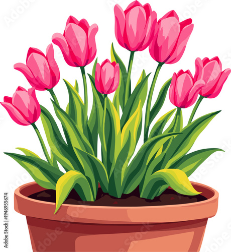 Beautiful tulip flowers growing in ceramic flower pot, colorful spring potted plant illustration perfect for home decor designs, botanical artwork and seasonal floral projects