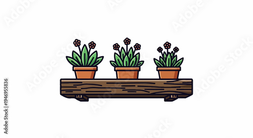 Three potted plants with green leaves and small red flowers sit neatly arranged on a rustic wooden shelf