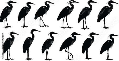 Heron Silhouette Vector Set, Great Blue Egret Standing Poses, Crane Bird Icon Collection, Wildlife Nature Design Elements, Isolated Waterbird Stencil Graphics