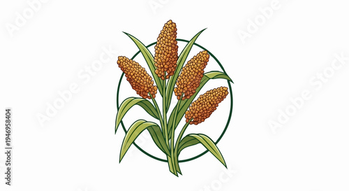 Illustration of grain stalks with orange seed heads and green leaves within a dark green circular frame
