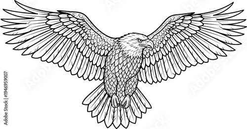 Eagle line art illustration with wide wingspan, detailed bird of prey sketch, patriotic bald eagle soaring, coloring page for adults, animal. (21 words)