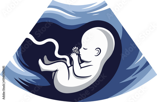 Stylized ultrasound scan showing an unborn baby inside the womb, rendered in shades of blue and white