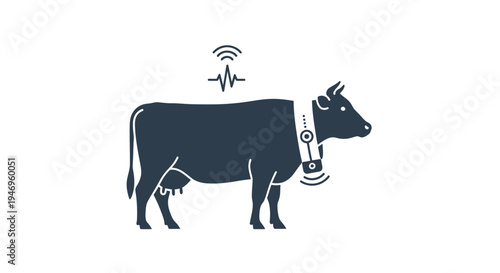 Black Cow with Smart Technology Collar.