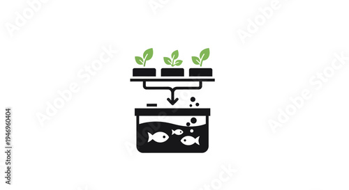 Aquaponics System Fish Plant Growth.