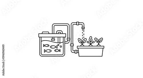 Aquarium Fish Tank with Plant Filter.