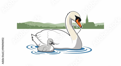 A mother swan and cygnet swim peacefully on water with a heart neck. Hills and a church spire in background