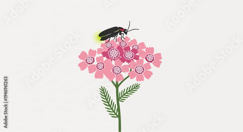 Illustration of a black firefly with glowing tail resting on vibrant pink flowers with a green stem