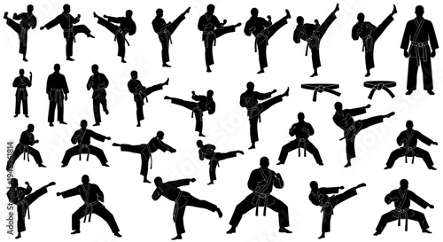 Karate Action Silhouettes: Dynamic Martial Arts Poses Collection