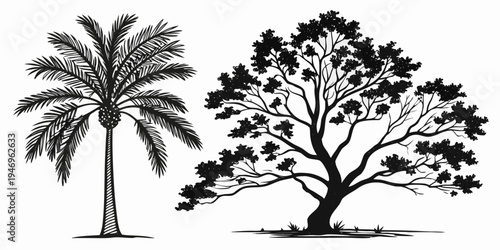 Black and white illustration of palm tree and deciduous tree side by side