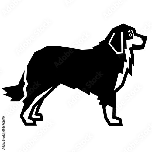 Bernese Mountain Dog