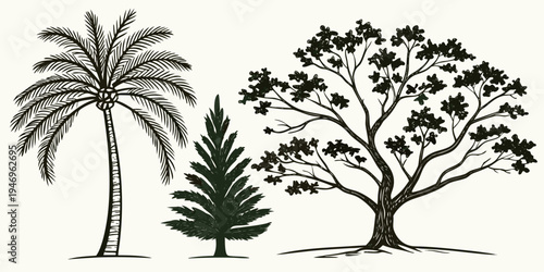 Black and white illustration of palm, pine, and deciduous trees