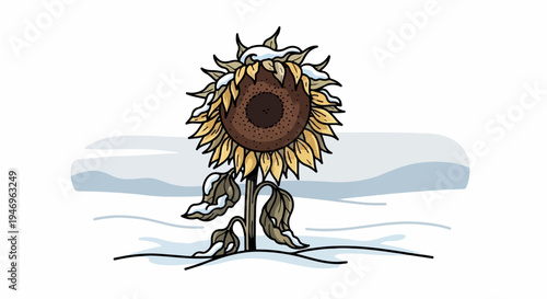 A lone sunflower stands in a snowy winter landscape, its petals and leaves dusted with fresh snow