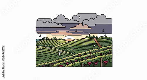 Illustration of a vineyard landscape with ripe grapes under a cloudy, rainy sky during sunset or sunrise