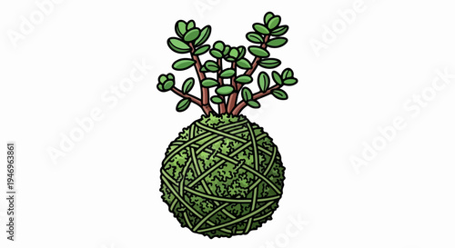 A cartoon-style succulent plant with green leaves growing from a mossy, string-wrapped spherical base