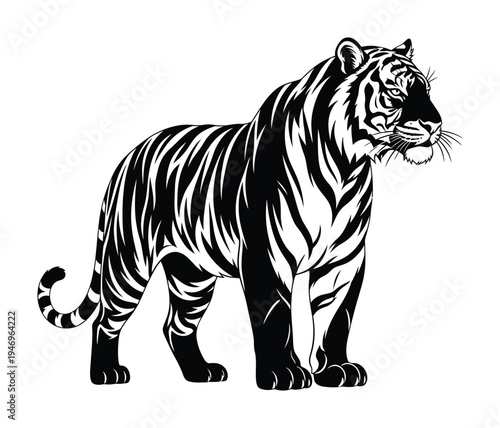 Vector of a majestic striped tiger standing in a bold and confident pose