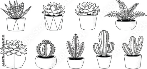 Black and White Cactus and Succulent Plants Icon Set for Gardening and Home Decor Designs