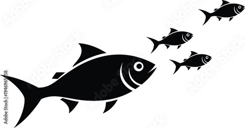 Here is the analysis