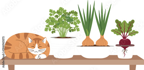 Cat Sleeping Among Potted Herbs and Vegetables on Shelf for Home Decor and Gardening Designs