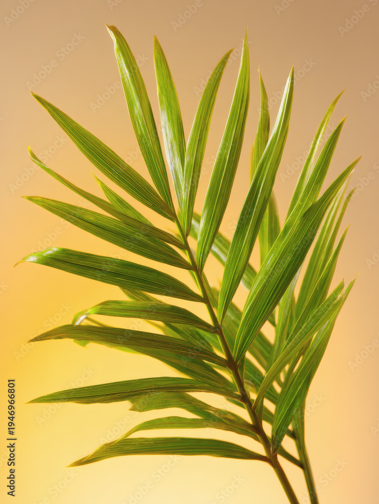 Obraz premium palm leaf with organic arrangement on pastel background highlighting tropical foliage detail and copy space for design isolated palm leaf, organic arrangement, pastel background, tropical foliage, 