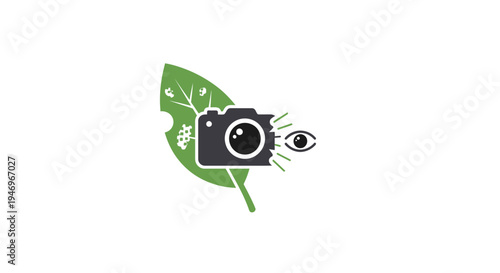 Camera on a green leaf.