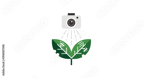 Camera taking photo of green leaves.