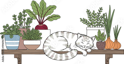 Cute Cat Sleeping Among Potted Plants and Herbs on Shelf for Home Decor and Gardening Designs