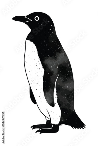 Vector of a standing black penguin with white markings on its belly and feet