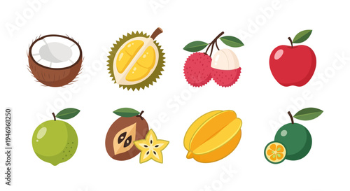 Variety of fresh tropical fruits illustration