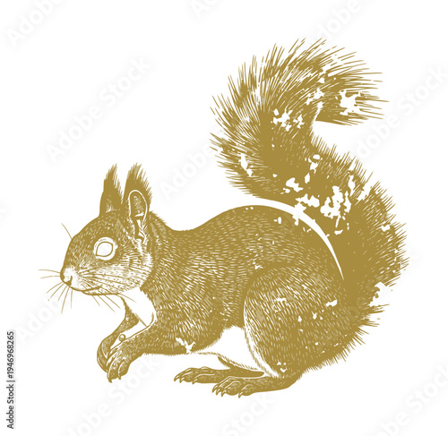 Vector of a squirrel sitting with a raised bushy tail